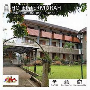 Gerbera hotel